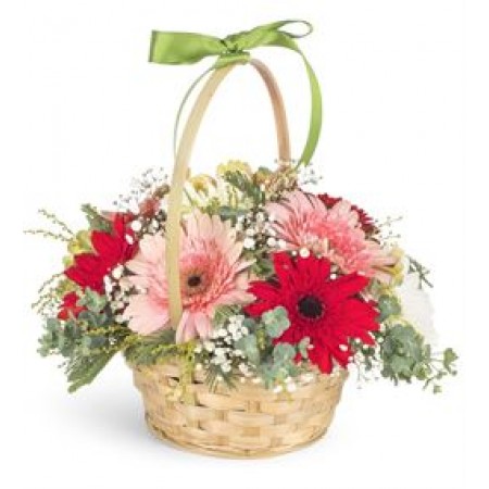 sepet dolusu gerbera